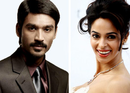 Dhanush and Mallika crowned PETA’s hottest vegetarians Dhanush and Mallika crowned PETA’s hottest vegetarians