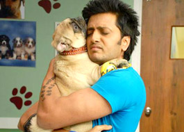 Fakhru becomes Shatru in Kyaa Super Kool Hain Hum Fakhru becomes Shatru in Kyaa Super Kool Hain Hum