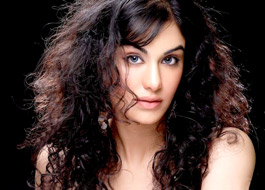 Adah Sharma to make South debut Adah Sharma to make South debut