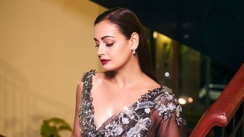 Celeb Wallpapers Of Dia Mirza