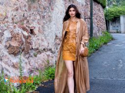Celeb Wallpapers Of Diana Penty
