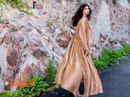 Celeb Wallpapers Of Diana Penty