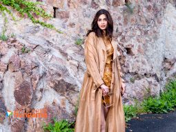 Celeb Wallpapers Of Diana Penty