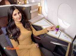 Celebrity wallpaper of Katrina Kaif