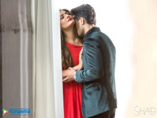 Wallpapers Of The Movie Shab