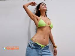 Celebrity wallpaper of Vaani Kapoor
