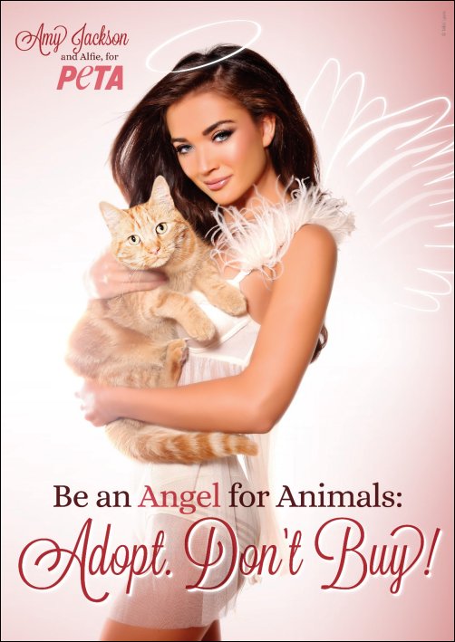 Amy Jackson becomes PETA India’s new face