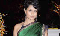 “It became the big fat Punjabi wedding” – Gul Panag speaks about her wedding