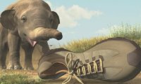 How Tata Elxsi’ VCL animated Woodland shoes