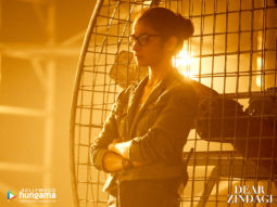 Movie Wallpapers Of The Movie Dear Zindagi