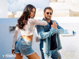 Movie Wallpapers Of The Movie Tiger Zinda Hai