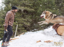 Movie Wallpapers Of The Movie Tiger Zinda Hai