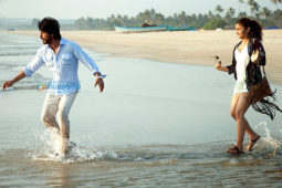 Movie Stills Of The Movie Dear Zindagi