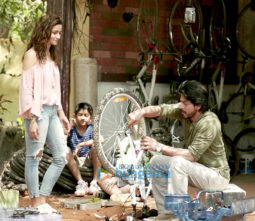 Movie Stills Of The Movie Dear Zindagi