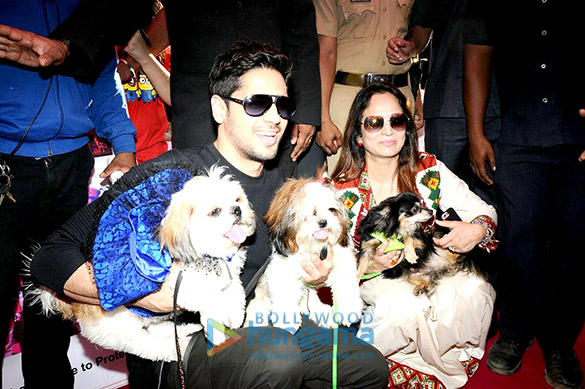 Sidharth Malhotra graces the ‘Glam Dogs’ event in Mumbai Sidharth Malhotra graces the ‘Glam Dogs’ event in Mumbai