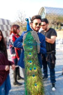 On The Sets Of The Movie Hindi Medium