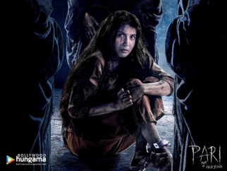 Wallpapers Of The Movie Pari
