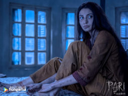 Movie Wallpapers Of The Movie Pari
