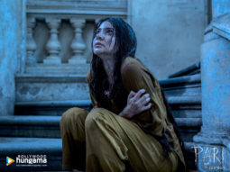 Movie Wallpapers Of The Movie Pari