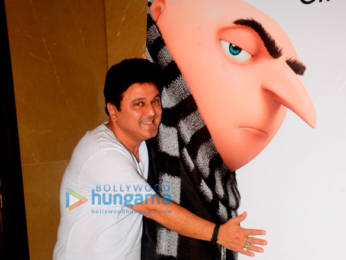 Ali Asgar is the Hindi voiceover for Gru in Despicable Me 3
