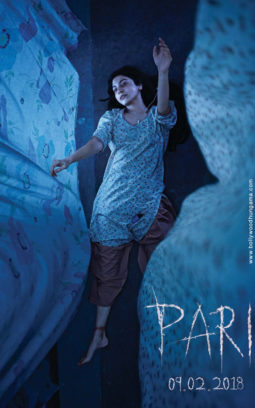 First Look Of The Movie Pari