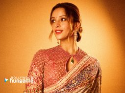Celebrity wallpaper of Triptii Dimri