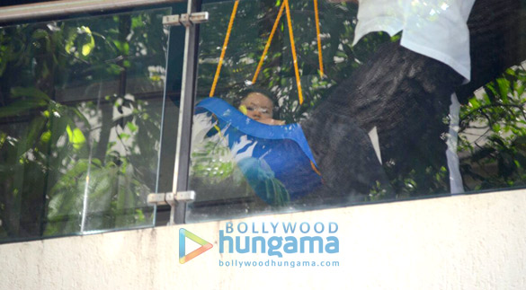 Taimur Ali Khan spotted swinging Taimur Ali Khan spotted swinging