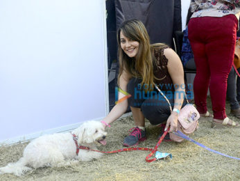Chunkey Pandey, Minissha Lamba and Dino Morea attend the Pet Fed event
