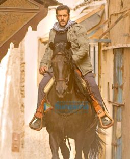 Movie Stills Of The Movie Tiger Zinda Hai