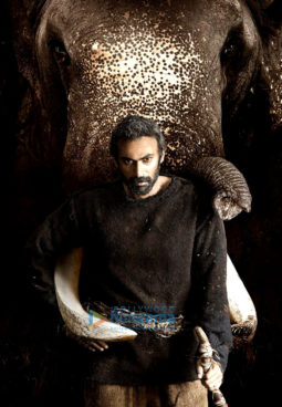 Movie Stills Of Haathi Mere Saathi