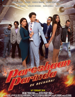 Pareshaan Parinda