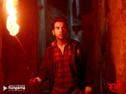 Wallpapers Of The Movie Stree