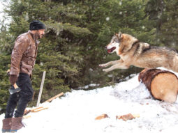 Box Office: Tiger Zinda Hai Day 33 in overseas Box Office: Tiger Zinda Hai Day 33 in overseas