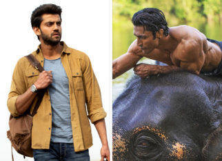 BO update: Notebook stars slow, Junglee opens to 10%