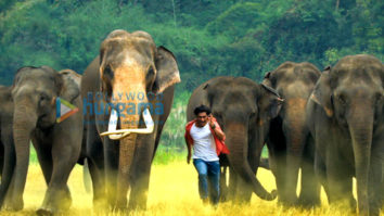 Movie Stills Of The Movie Junglee