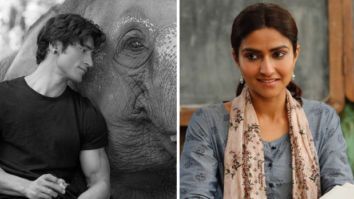 Junglee Box Office Collection Day 4: The Vidyut Jammwal starrer maintains a fair hold, Notebook is dull