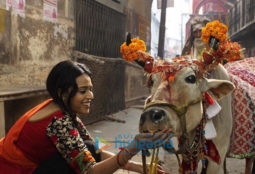 Movie Stills of the movie Raanjhanaa