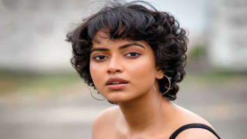 Amala Paul to star in the Telugu remake of Lust Stories