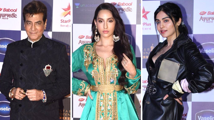 Celebs grace Star Screen Awards 2019 Part 1
