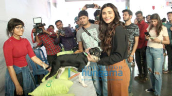 Photos: Daisy Shah, Zaheer Iqbal and Natasha Dalal grace Adoptathon 2019