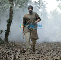 Movie Stills Of The Movie Haathi Mere Saathi
