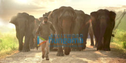 Movie Stills Of The Movie Haathi Mere Saathi