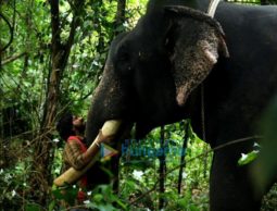 Movie Stills Of The Movie Haathi Mere Saathi