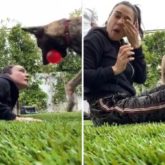 WATCH: Preity Zinta’s pet Bruno tries to sabotage her workout while Gene Goodenough tries to stop him