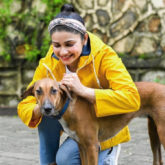  “Sometimes all you need is love,” writes Prachi Desai sharing pictures of strays from her building