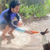 Varun Dhawan makes a new furry friend on his trip to Maldives