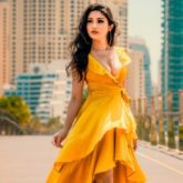 Donal Bisht on the evolution of TV industry, Pursue your art, rather than pursuing the vanity that comes with it