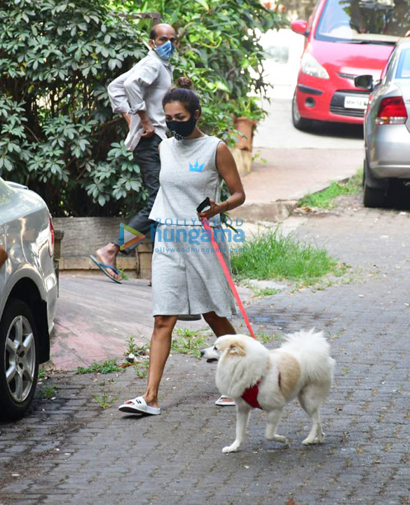 Photos: Malaika Arora and Neha Sharma spotted going for a walk with their pet Photos: Malaika Arora and Neha Sharma spotted going for a walk with their pet