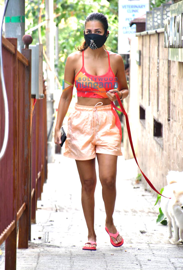 Photos: Malaika Arora spotted with her pet on a morning walk Photos: Malaika Arora spotted with her pet on a morning walk