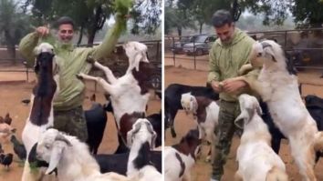 Akshay Kumar struggles to feed goats in new video, watch